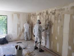 Mold Odor Removal Services in Florin, CA